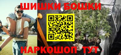 МДПВ Можайск