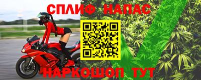 сатива Можга