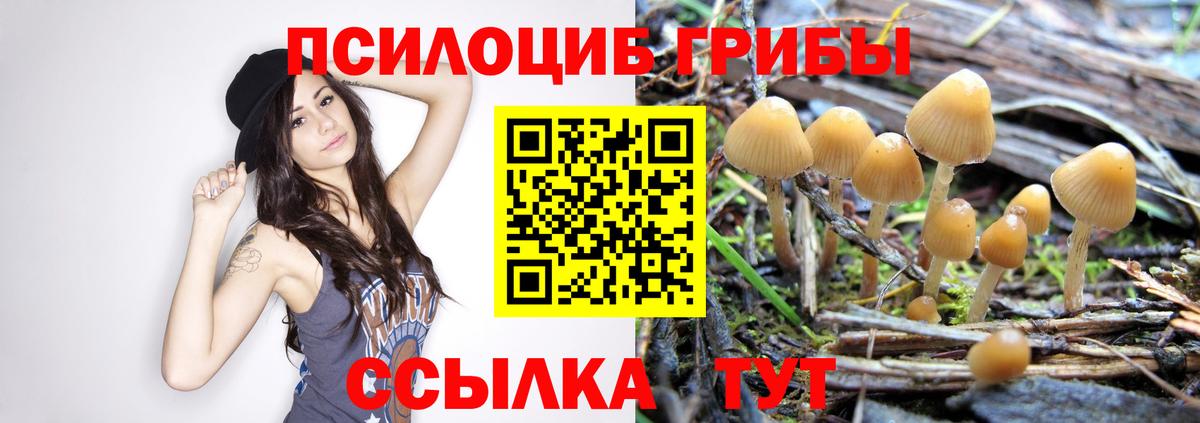 Галлюциногенные грибы мухоморы  Вход с VPN  Южноуральск 